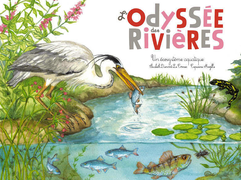 L'odyssée des rivières