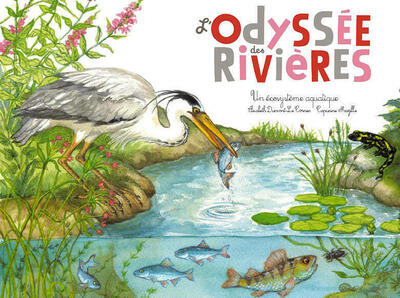 Odyssey of the Rivers