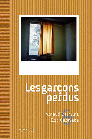 Les Garçons perdus