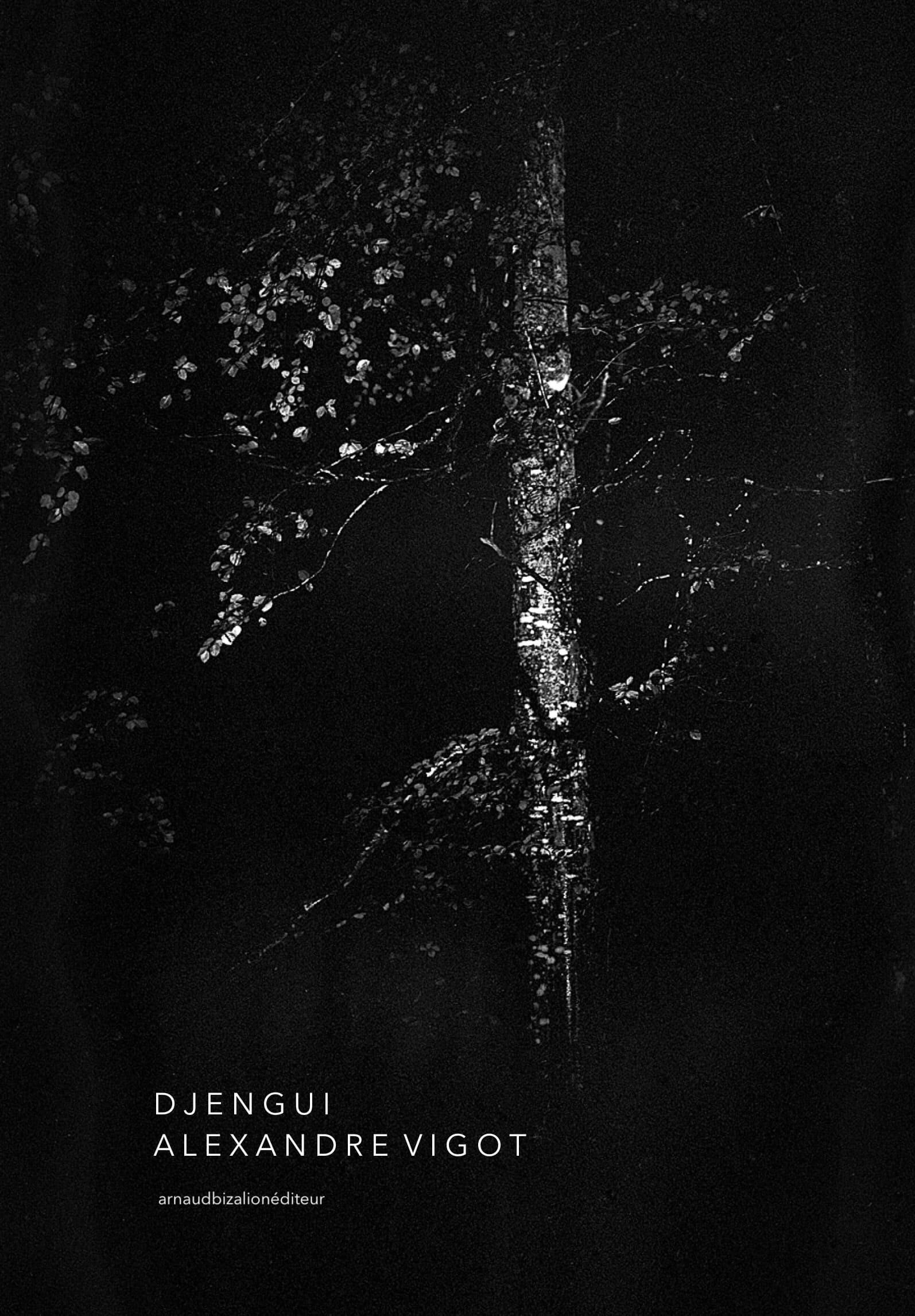 Djengui