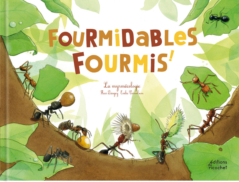 Fourmidables fourmis