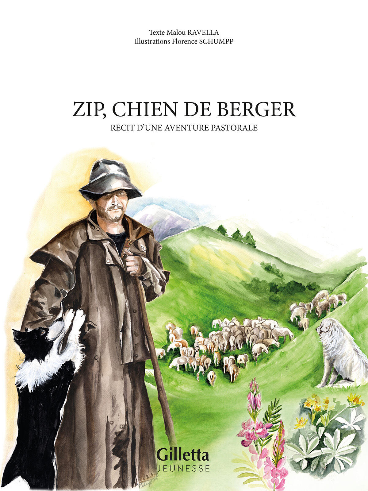 Zip, chien de berger