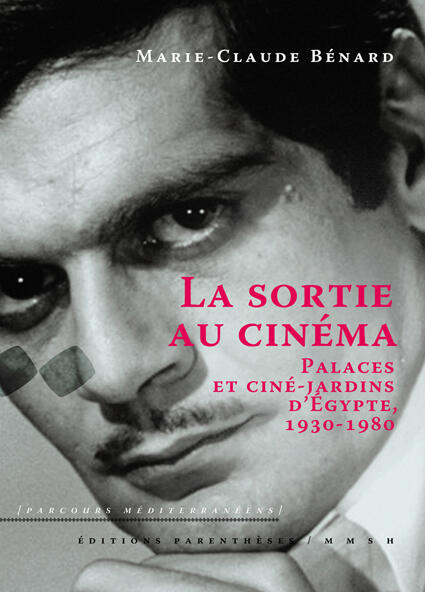 La sortie au cinéma