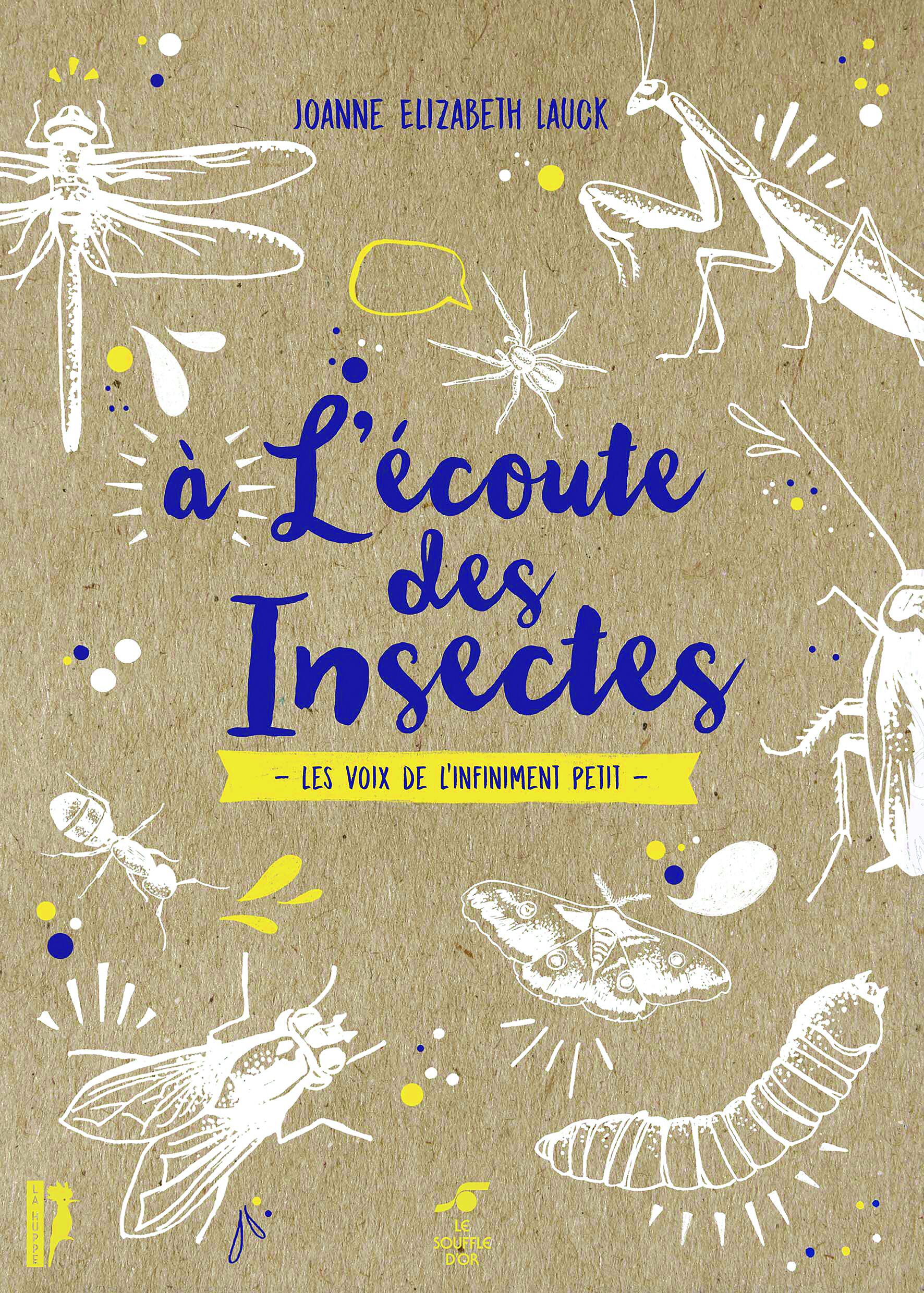 À l'écoute des insectes