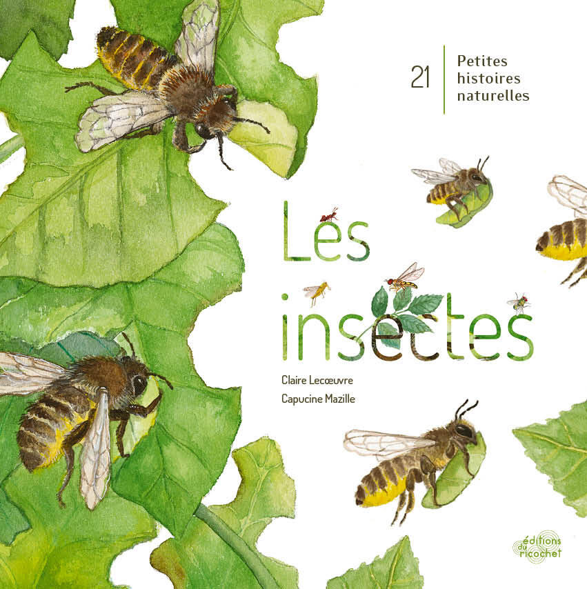 Les insectes !