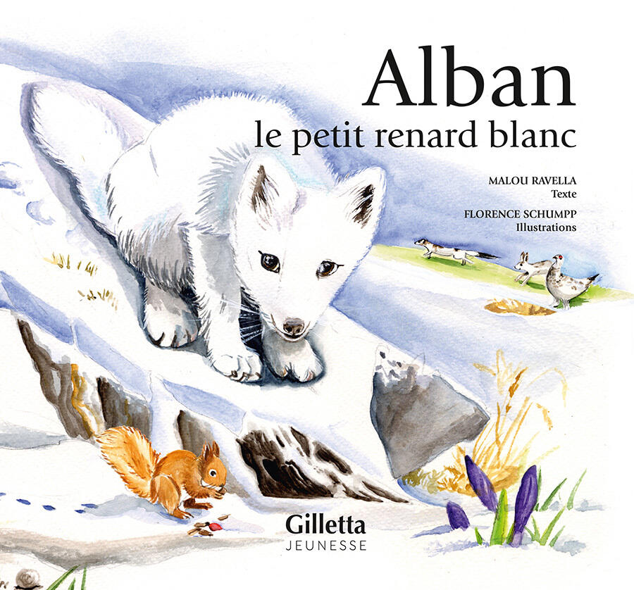 Alban, le petit renard blanc