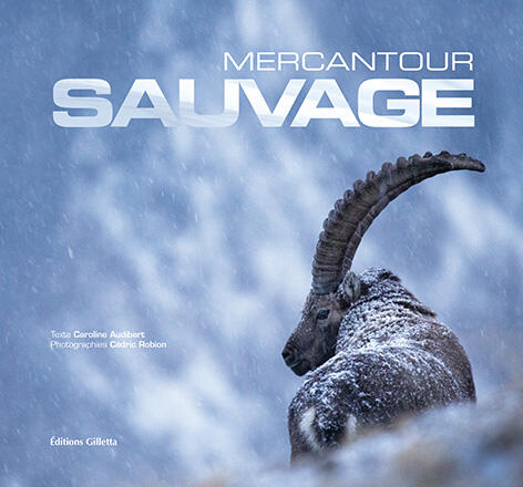 Mercantour sauvage