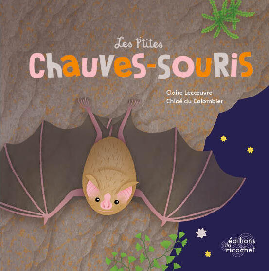 Les P'tits Chauves-souris 