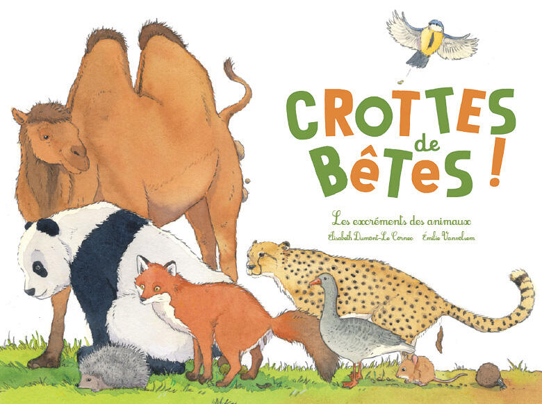 Crottes de bêtes