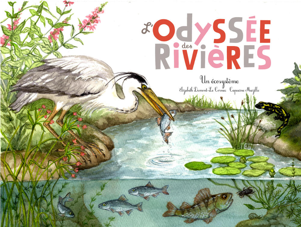 L'odyssée des rivières